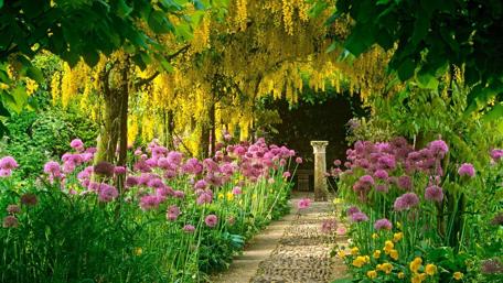 Blossoming Garden Pathway Awaits You wallpaper