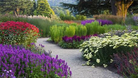 Vibrant Floral Garden Pathway Showcase wallpaper