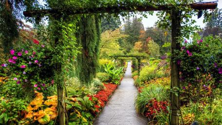 Serene Garden Pathway Awaits You wallpaper
