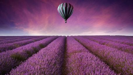Lavender Horizons and Soaring Dreams wallpaper