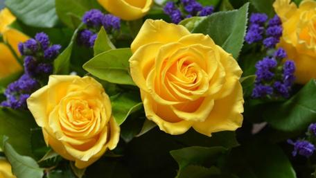 Bright and Cheerful Yellow Roses Bouquet wallpaper