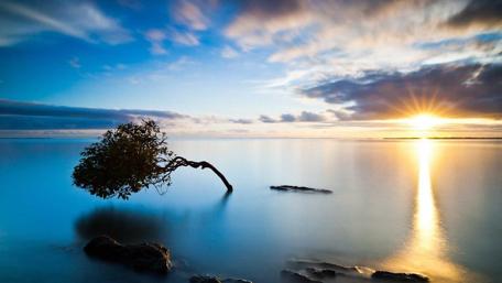 Golden Dawn Over Serene Waters wallpaper