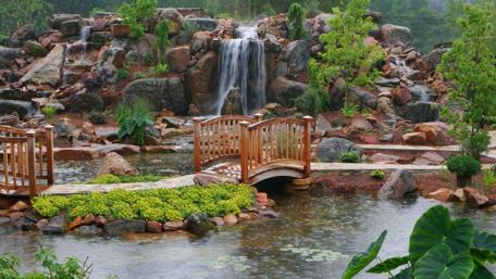 Serenity in a Japanese Garden wallpaper