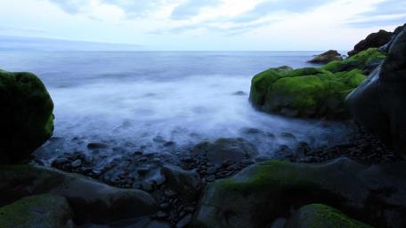 Serene Seashore with Lush Mossy Stones wallpaper
