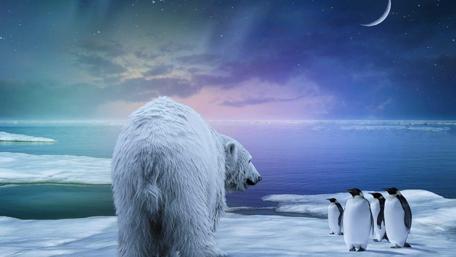 Starry Arctic Enchantment on Ice wallpaper