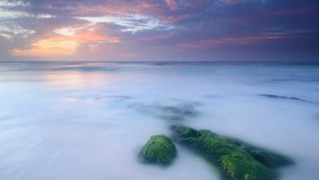 Serene Sunrise Over Misty Sea Coastline wallpaper