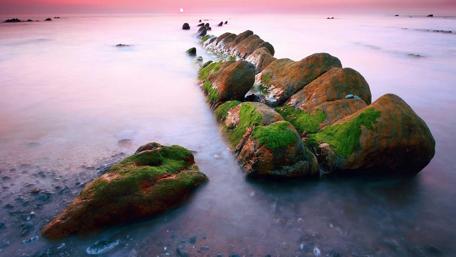 Tranquil Mosaic of Moss and Stones wallpaper