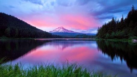 Mount Hood view from Trillium Lake wallpaper