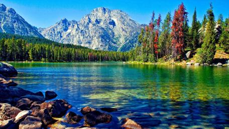 Leigh Lake's Serene Mount Moran View wallpaper