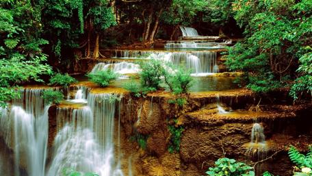 Serene Waterfall Oasis in Lush Nature Views wallpaper