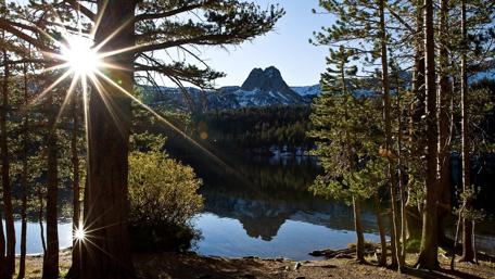 Nature's Radiance in the Wilderness wallpaper