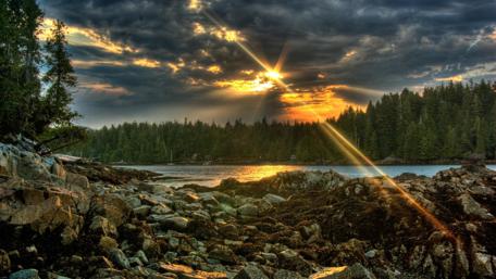 Serene Forest Sunset Over Rocky Shoreline wallpaper