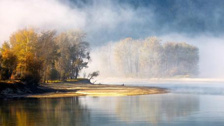 Misty Serenity in Jasper National Park wallpaper