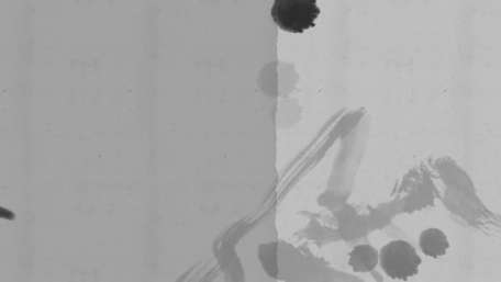 Elegant Monochrome Abstract Art Design wallpaper