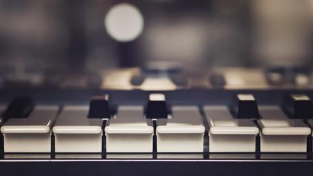 Ivory Melodies Piano Keys in Focus wallpaper