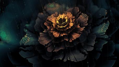 Glittering Rainy Blossom in Digital Art Beauty wallpaper