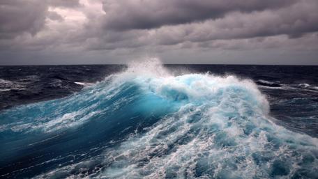 Majestic Ocean Waves in Motion wallpaper