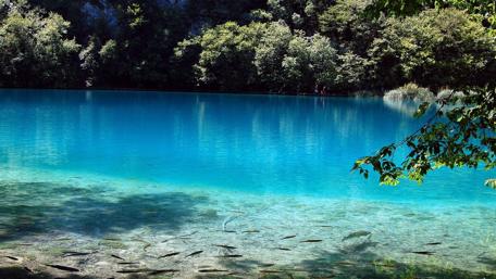 Crystal Blue Serenity by the Lake wallpaper