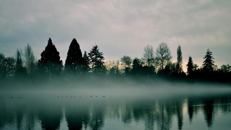 Misty Morning Reflections on a Calm Lake wallpaper