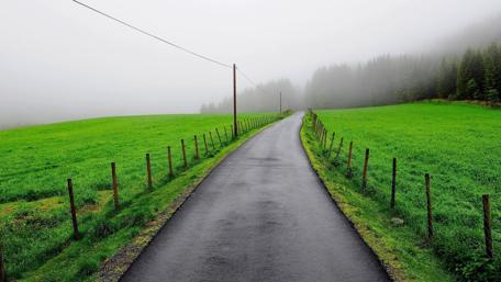 Misty Road Through Lush Green Fields wallpaper
