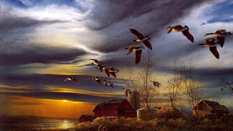 Timeless Flight at Sunset wallpaper