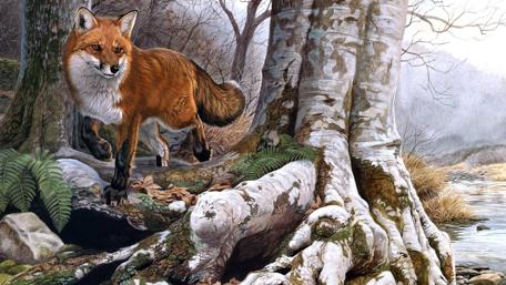 Red Fox in Autumn Forest Wonderland wallpaper