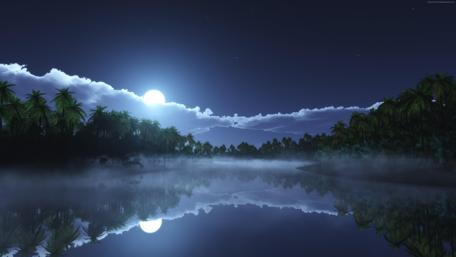 Tropical night reflection wallpaper