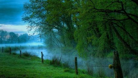 Misty Canal Surrounded by Lush Trees and Fields wallpaper