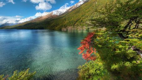 Serene Mountain Lake View with Vibrant Foliage wallpaper