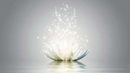 Luminous Floral Elegance wallpaper