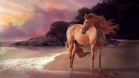 Majestic Horse on a Sunset Beach wallpaper