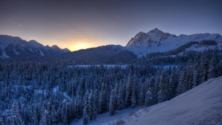 Winter Serenity in Mountain Pines wallpaper