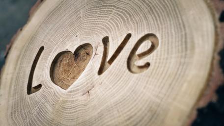 Love Carved in Nature's Embrace wallpaper