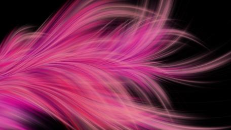 Whimsical Pink Feathers in Motion wallpaper