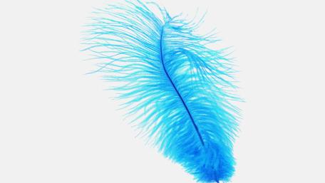 Vibrant Blue Feather Abstract Art wallpaper