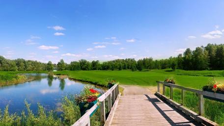 Tranquil Park Scene with a Serene River View wallpaper