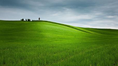 Lush Green Hills Under a Cloudy Sky wallpaper