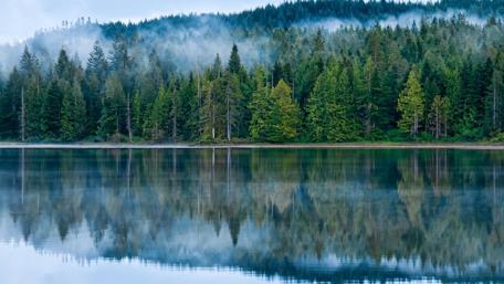 Tranquil Misty Lake Reflection in Nature wallpaper