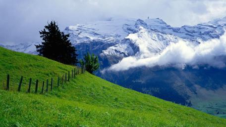 Majestic Snowy Mountains Embraced by Lush Green Hillside wallpaper