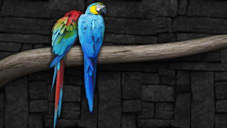 Colorful Parrots on a Branch wallpaper