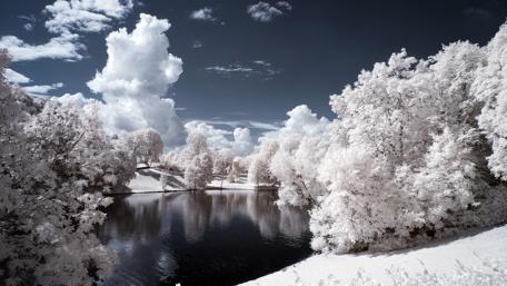 Winter Wonderland Under a Frosty Sky wallpaper