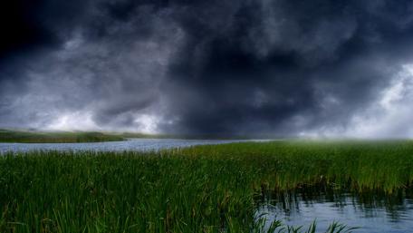 Calm Wetland Under Dramatic Sky wallpaper