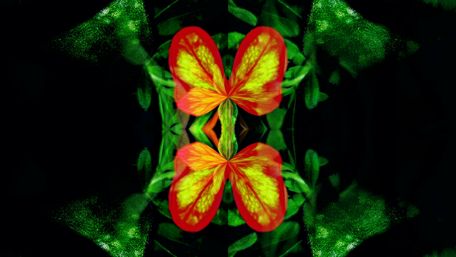 Vibrant Butterfly Dance in Abstract Nature Art wallpaper