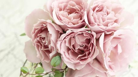 Pink Rose Bouquet in 4K Splendor wallpaper