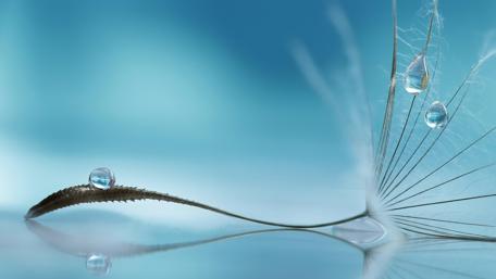 Water Drops on Blue Wisps wallpaper