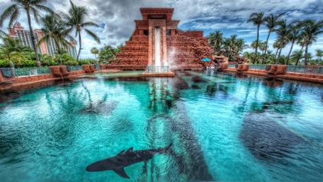 Tropical Paradise with Underwater Magic wallpaper