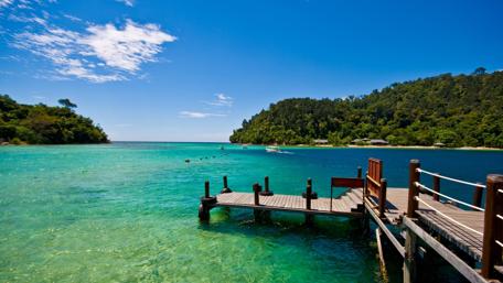 Tropical Paradise under the Summer Sun wallpaper