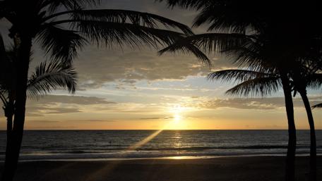 Dominican Dawn with Palms and Sunrise Glow wallpaper