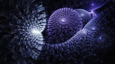 Fractal Space Blossoms wallpaper