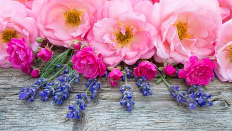 Delicate Roses and Lavenders on Rustic Wood Surface wallpaper